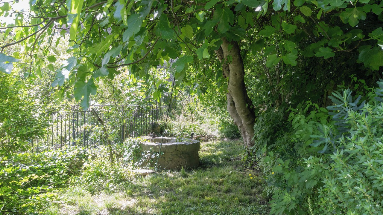 Photo of Outdoor in Lagorce