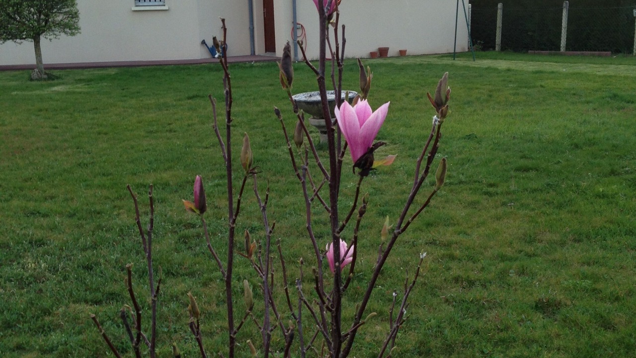 Photo of Outdoor in Change