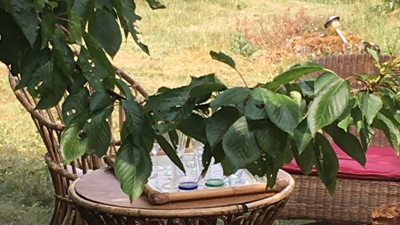 Photo of Outdoor in Saint-Aquilin-de-Pacy