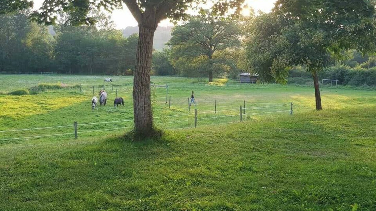 Photo of Others in Saint-Geniez-d'Olt