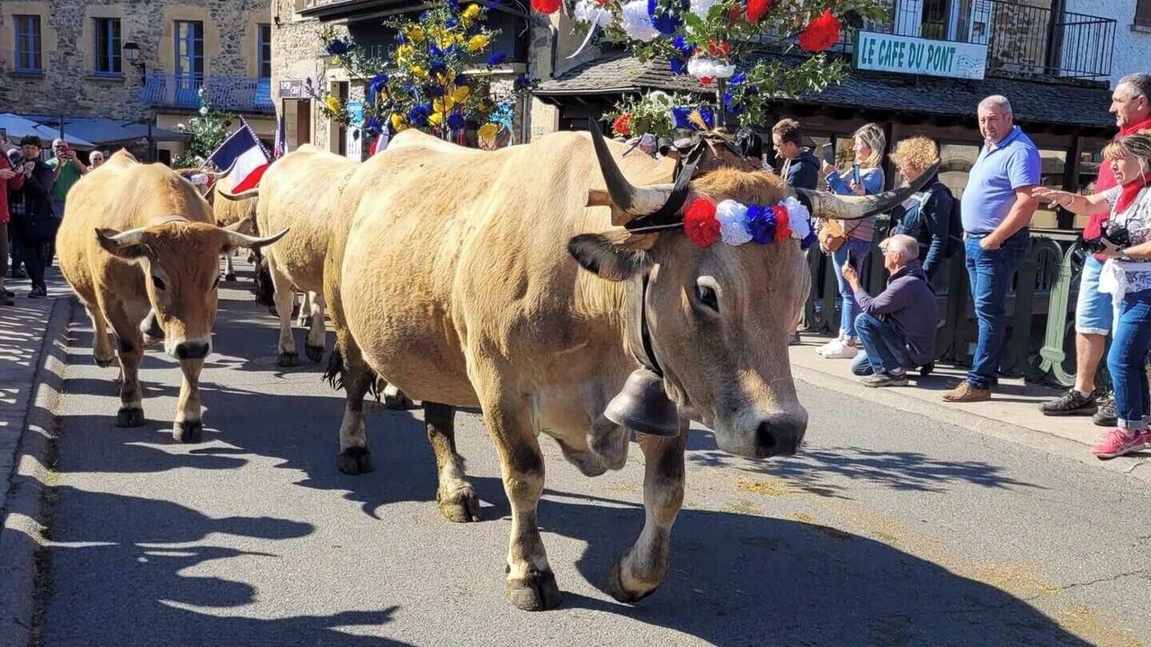 Photo of Others in Saint-Geniez-d'Olt