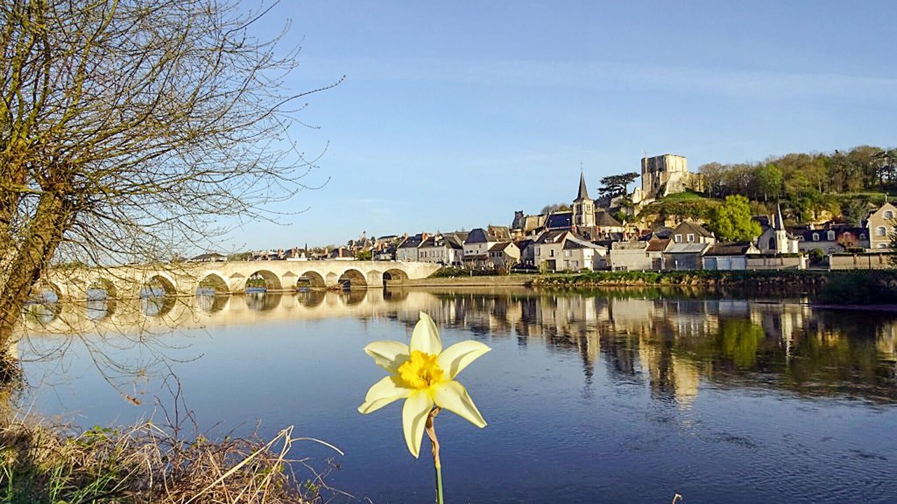Photo of Others in Montrichard Val de Cher
