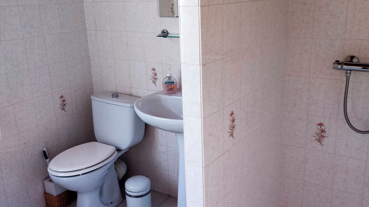Photo of Bathroom in Baillestavy