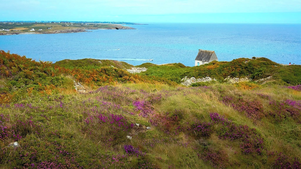 Photo of Others in Finistere