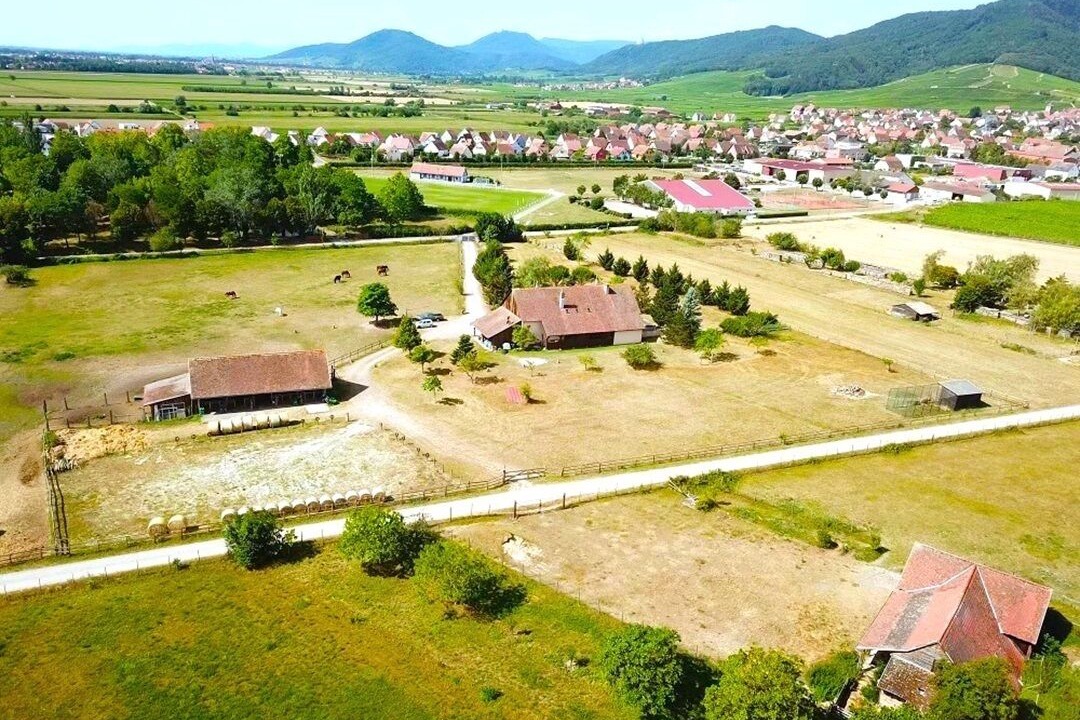 Photo of Outdoor in Dambach-la-Ville