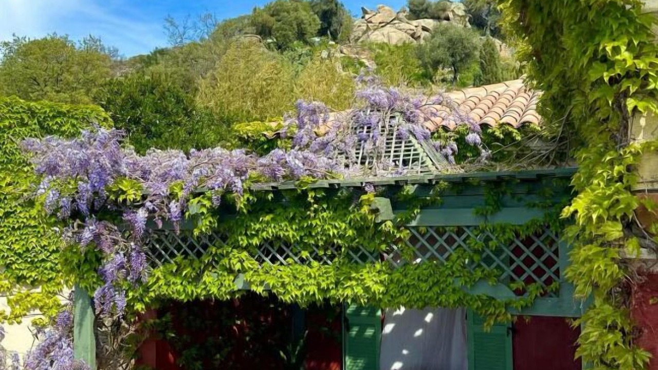 Photo of Patio Balcony in Aregno