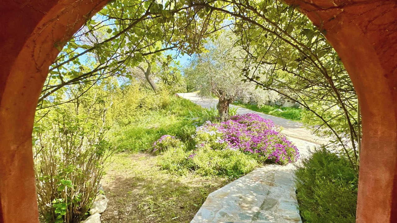 Photo of Outdoor in Aregno