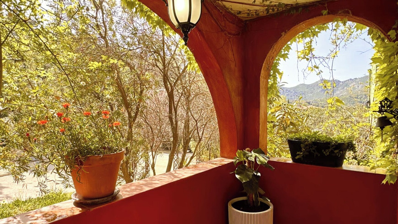Photo of Outdoor in Aregno