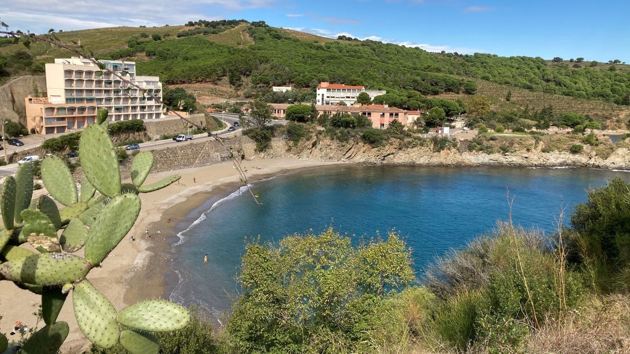 Photo of Others in Banyuls-sur-Mer