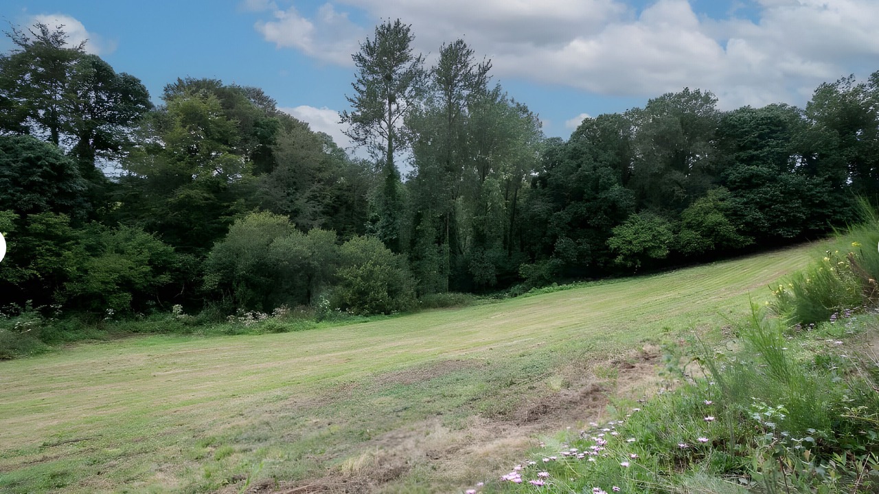 Photo of Others in Plouegat-Moysan