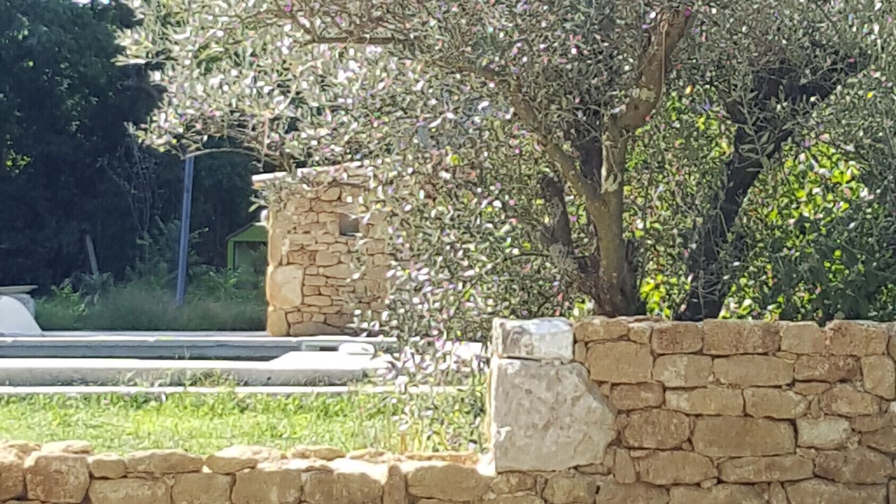 Photo of Outdoor in Valreas