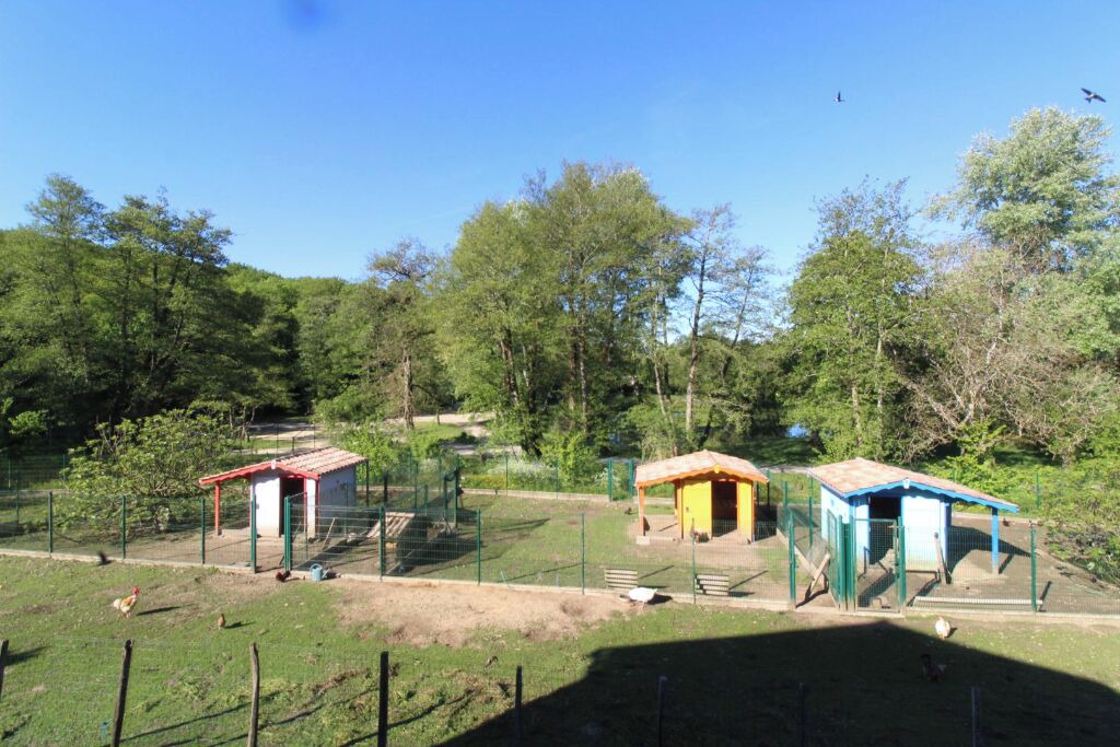 Photo of Outdoor in Saint-Bris-des-Bois