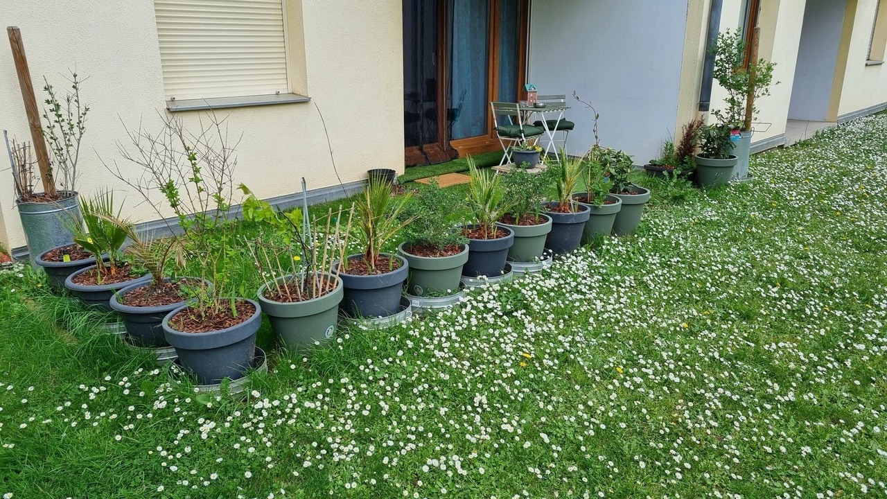 Photo of Outdoor in Koenigshoffen Est