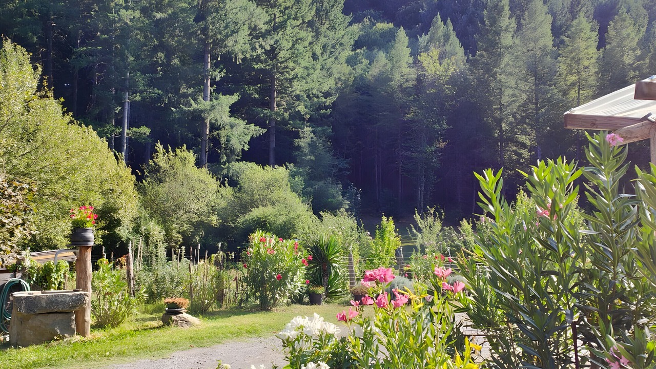 Photo of Outdoor in Saumane