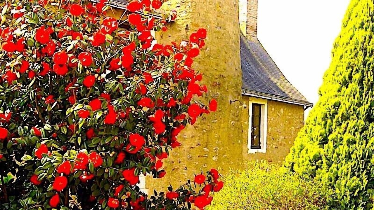 Photo of Outdoor in Saint-Brice