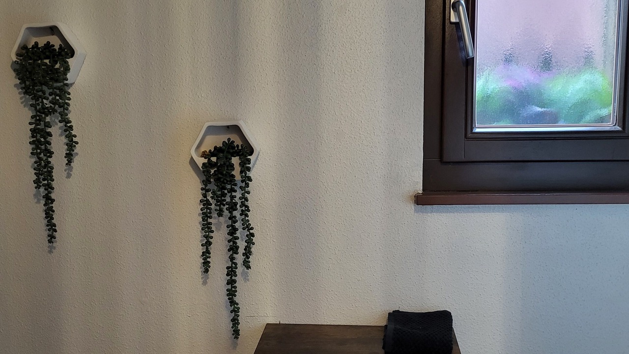 Photo of Others in Obernai