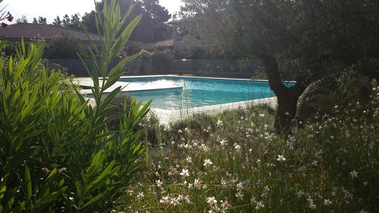 Photo of Outdoor in Lecci