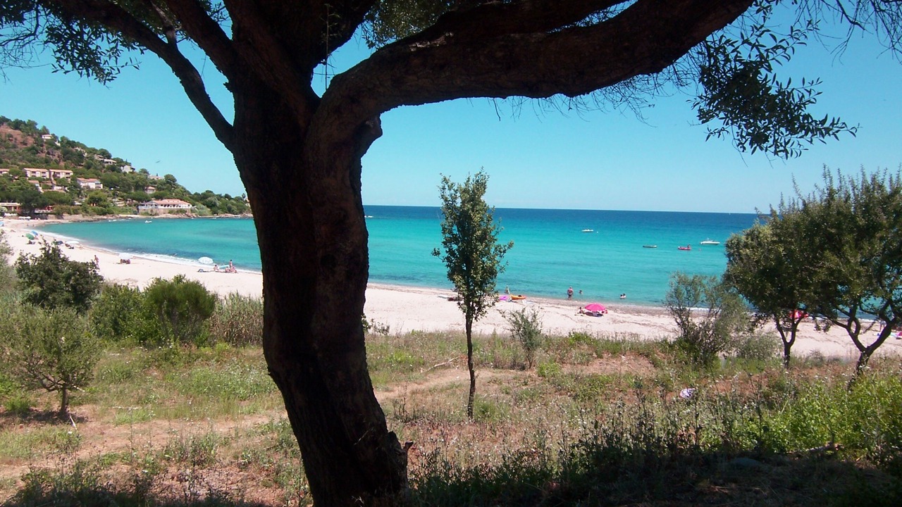 Photo of Others in Tarcu