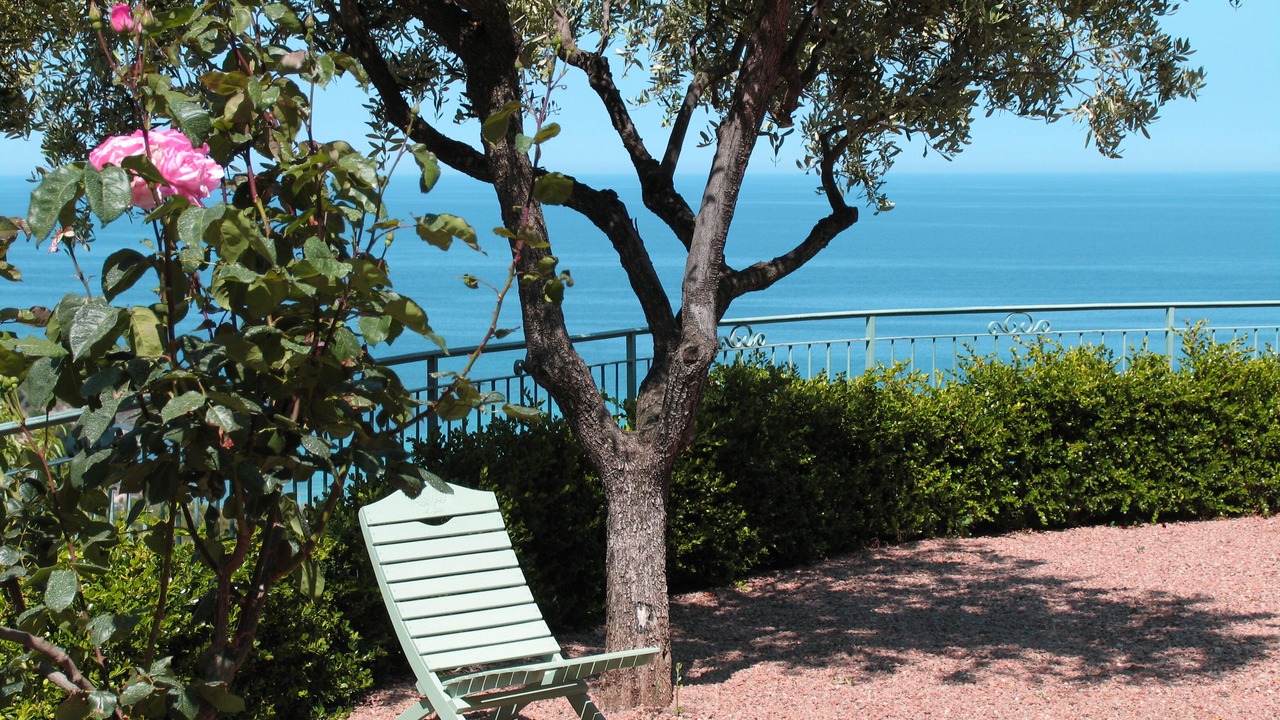 Photo of Outdoor in Tarcu