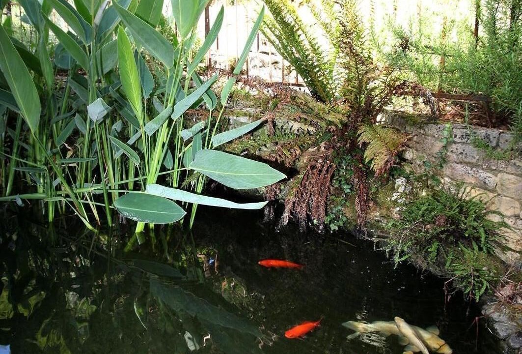 Photo of Outdoor in Vezac