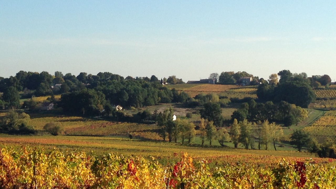Photo of Outdoor in Plassac