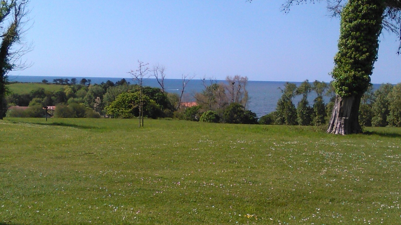 Photo of Outdoor in Behobie