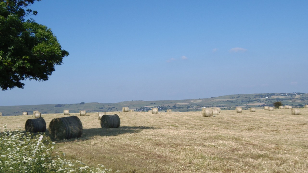 Photo of Others in Murat