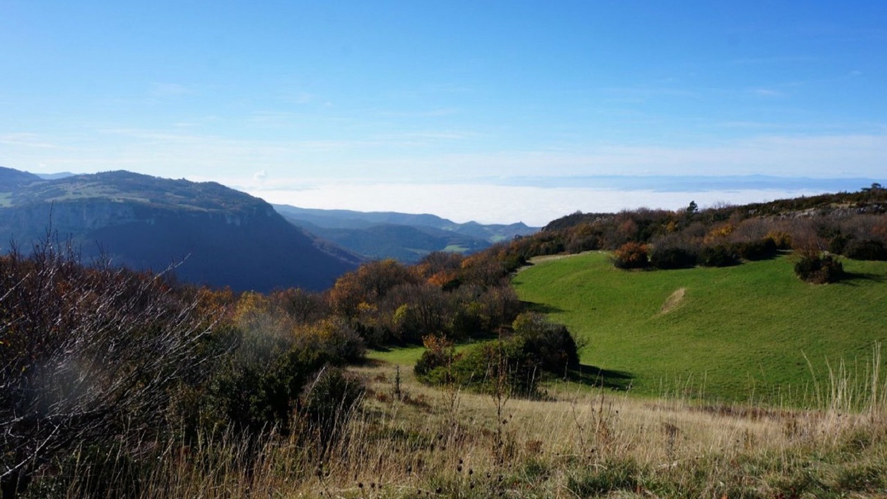 Photo of Others in Sauvain