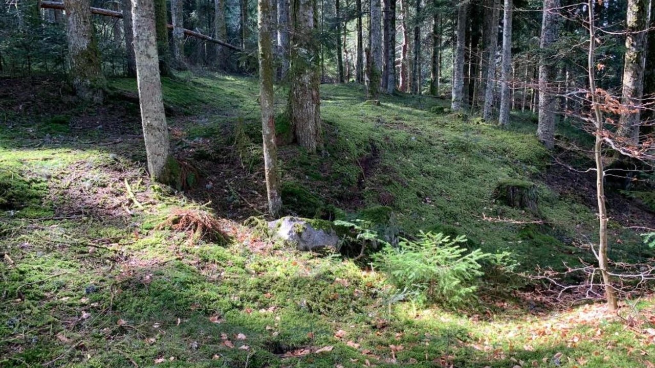 Photo of Others in Sauvain