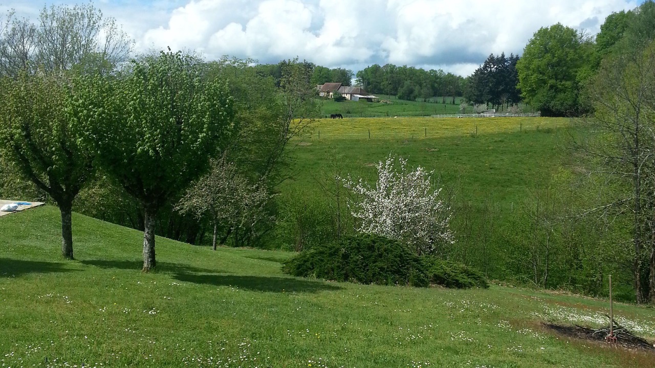 Photo of Others in La Coquille