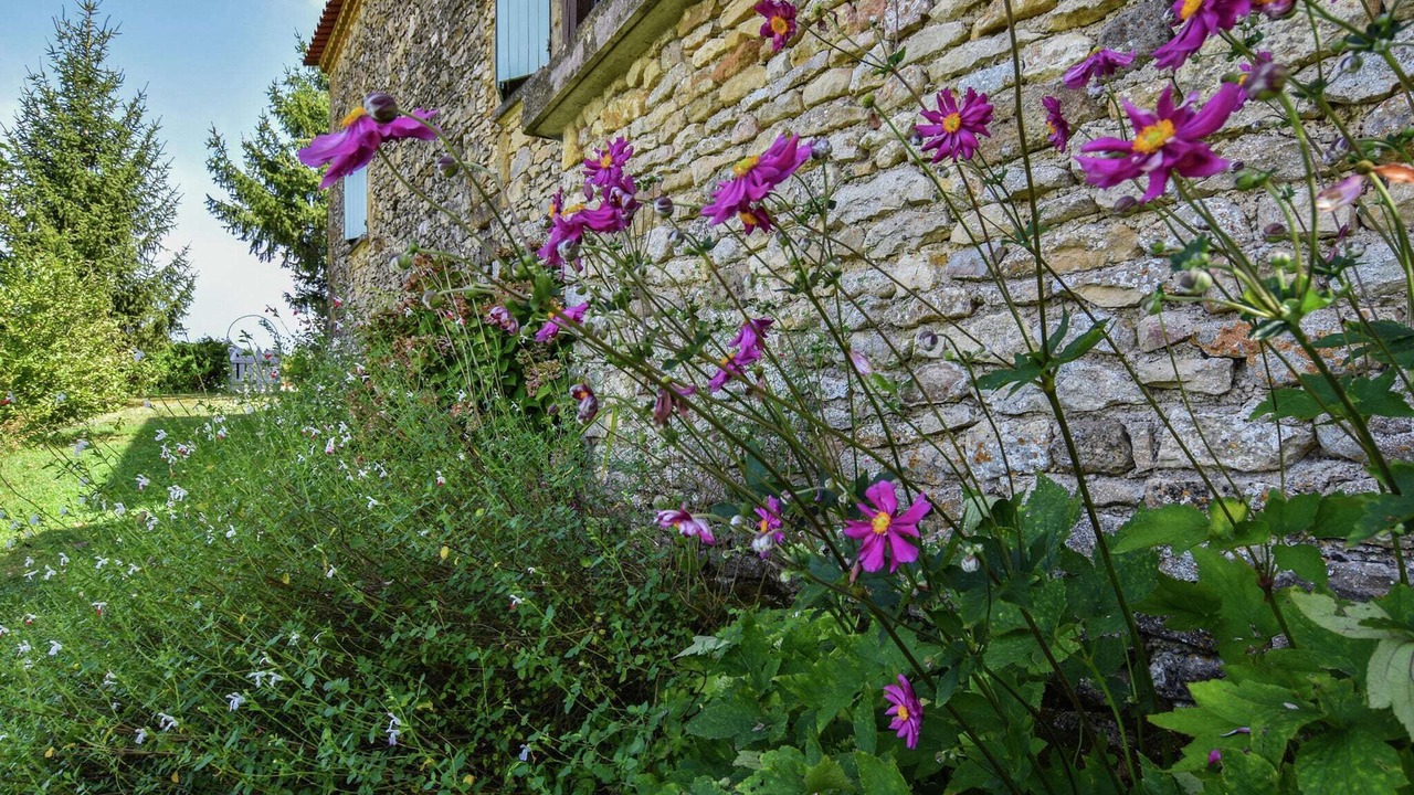 Photo of Outdoor in Loubejac