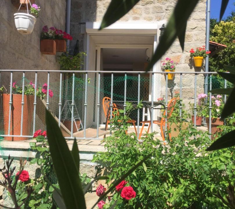 Photo of Others in Sainte-Lucie-de-Tallano