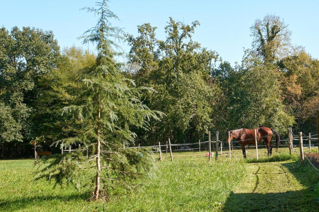 Photo of Others in Eyliac
