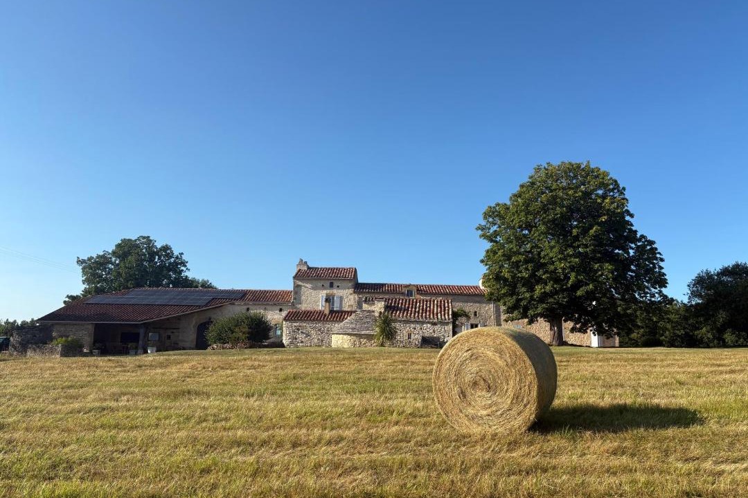 Photo of Others in Blanquefort-sur-Briolance