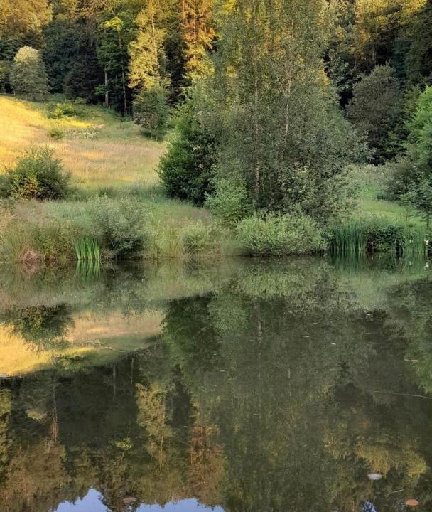 Photo of Others in Basse-sur-le-Rupt