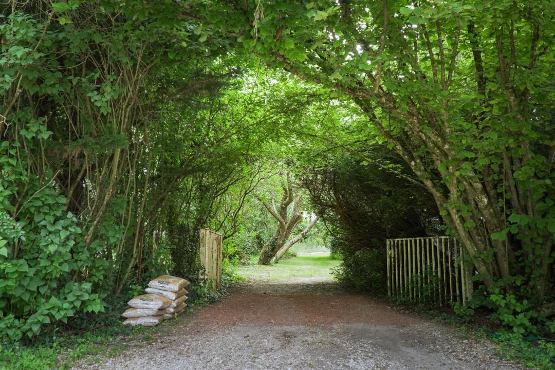 Photo of Others in Saint-Maurice-sur-Fessard