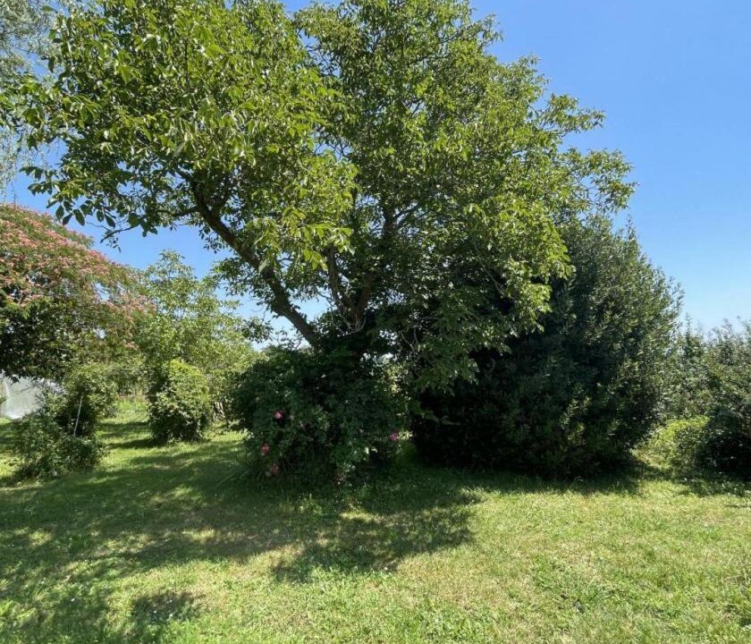 Photo of Outdoor in Baigts-de-Bearn