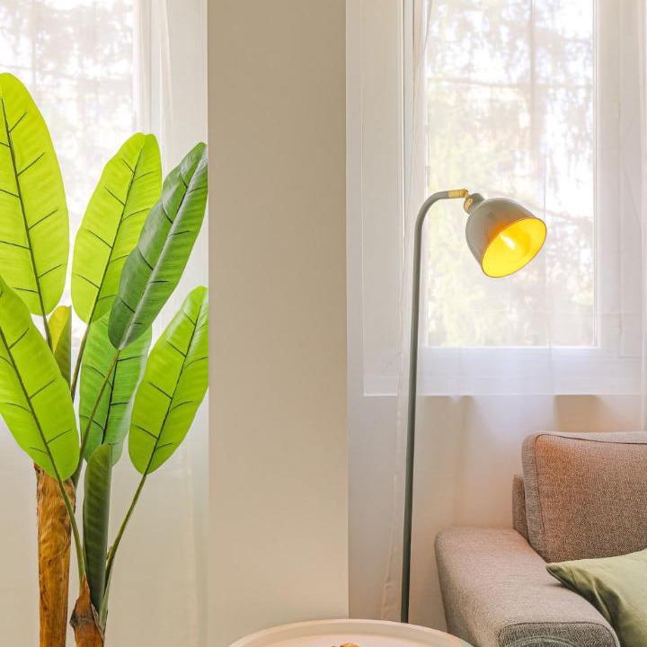 Photo of Livingroom in Decines-Charpieu