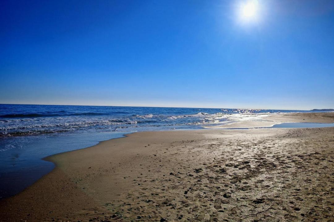 Photo of Others in Marseillan Plage