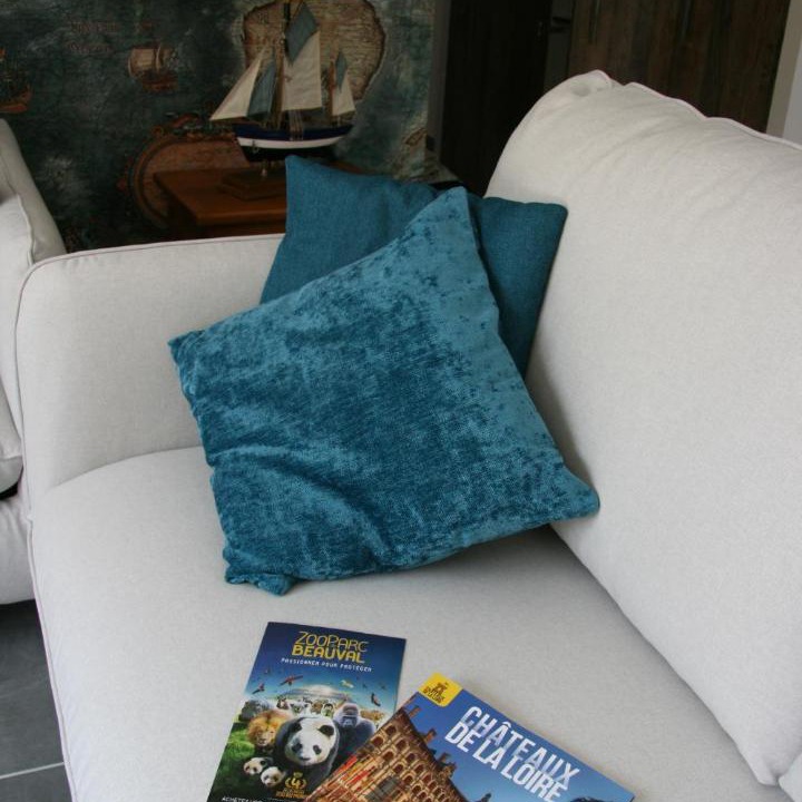 Photo of Livingroom in Seigy
