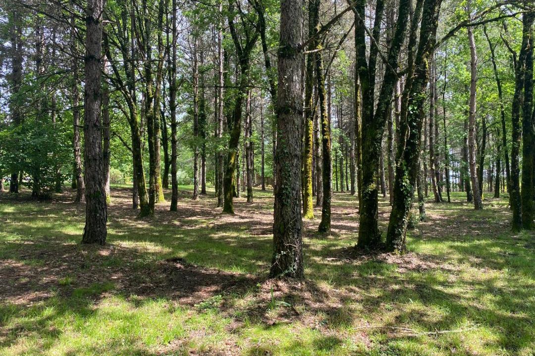 Photo of Outdoor in Fossemagne