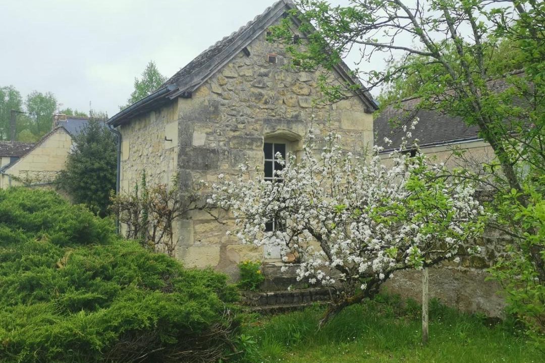 Photo of Others in La Chapelle-aux-Naux