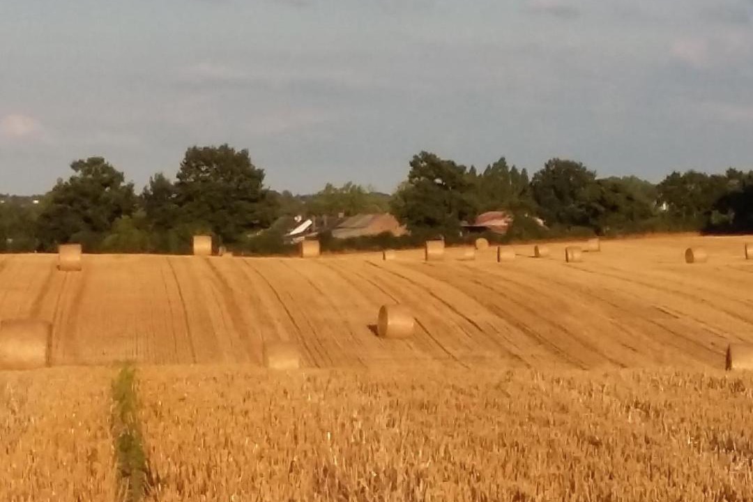 Photo of Others in Bonnoeuvre