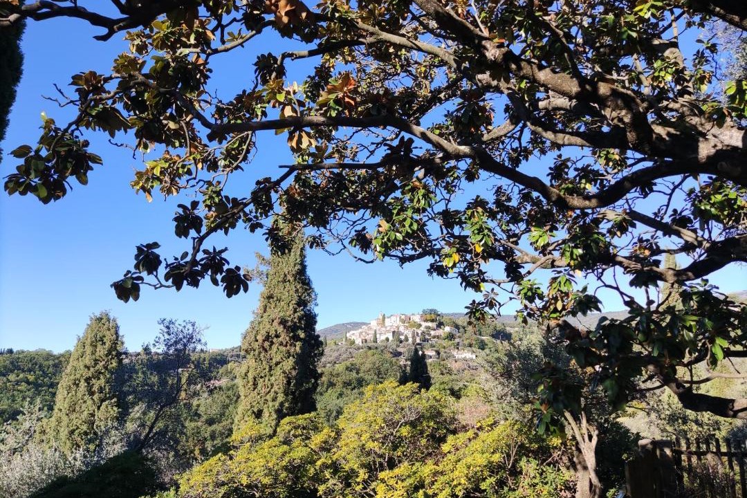 Photo of Others in Chateauneuf-Grasse