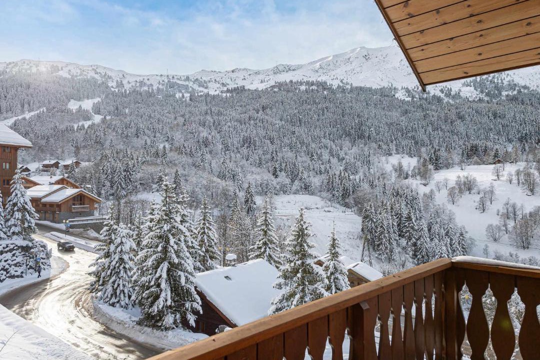 Photo of Others in Meribel Centre