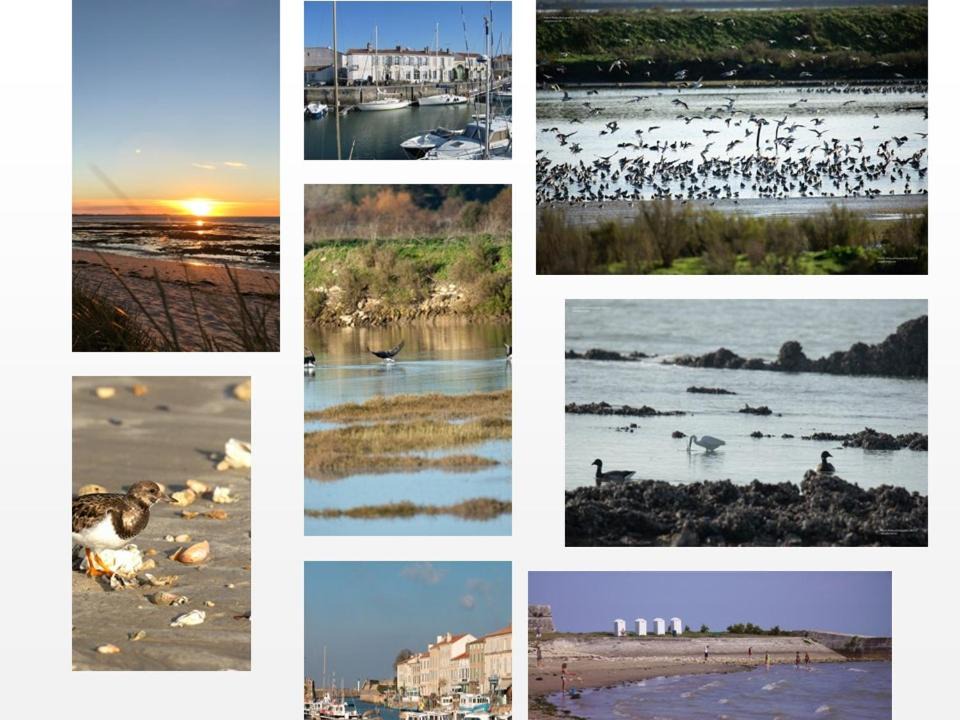 Photo of Others in Saint-Martin-de-Re