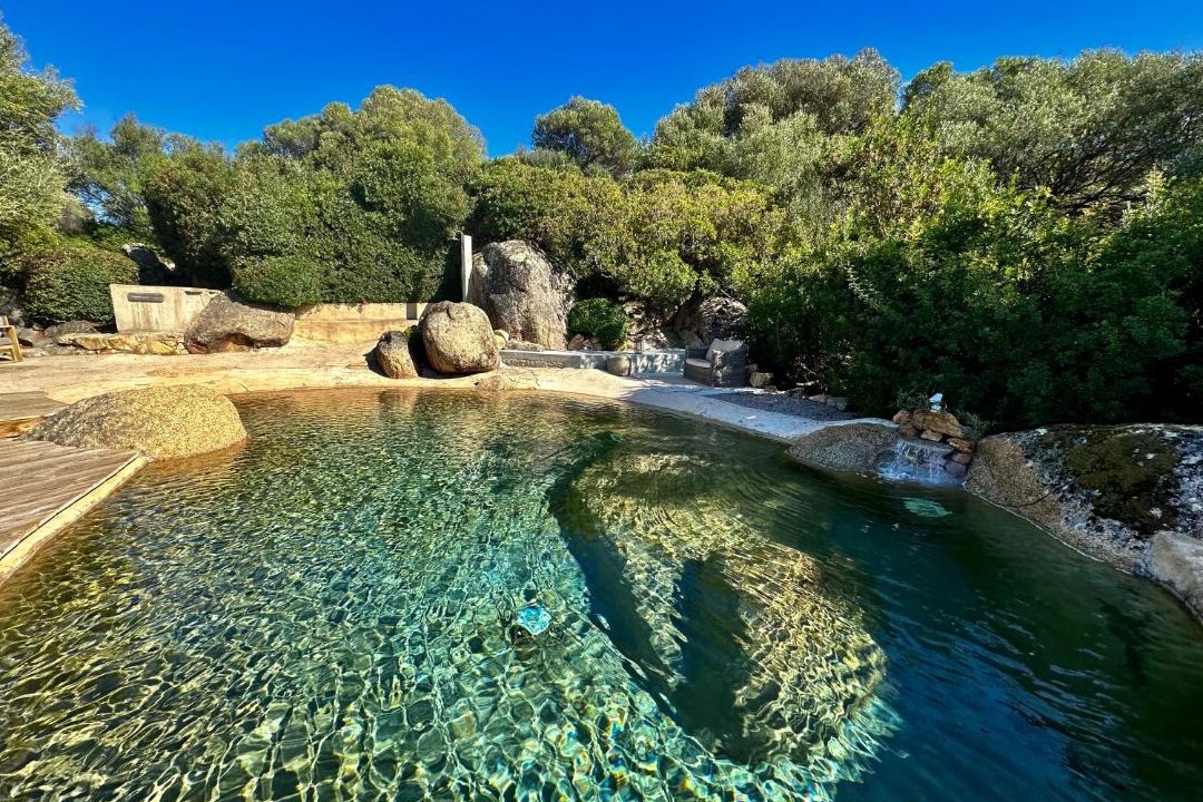 Photo of Outdoor in Olmeto