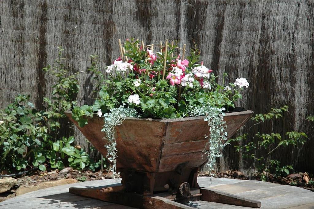 Photo of Patio Balcony in Rouffignac-Saint-Cernin-de-Reilhac