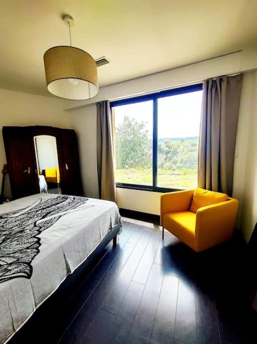 Photo of Bedroom in Cotignac