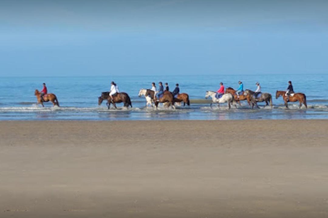 Photo of Others in La Barre-de-Monts